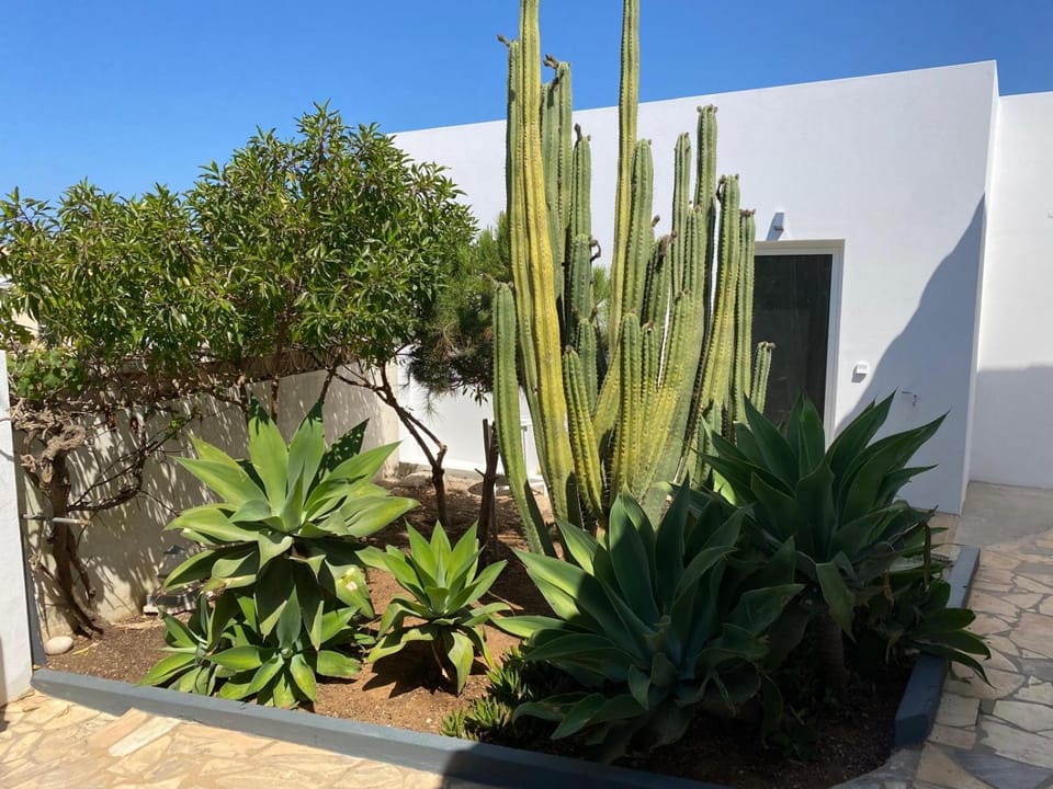 Garden, Garden