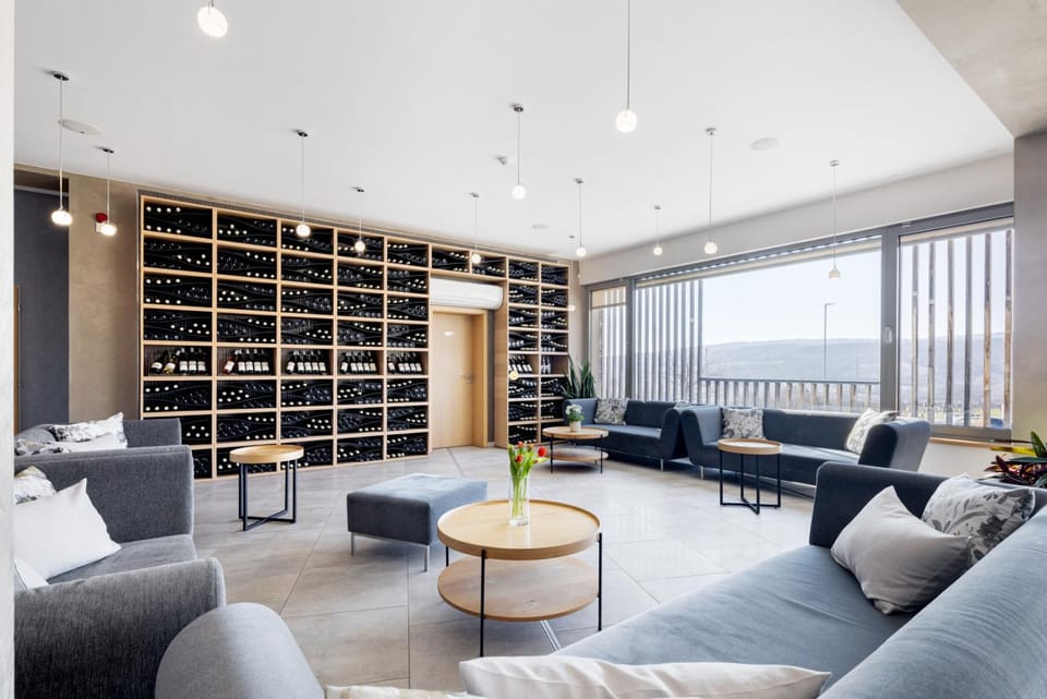 Hotel Vinice Hnanice Hotel in South Moravian Region