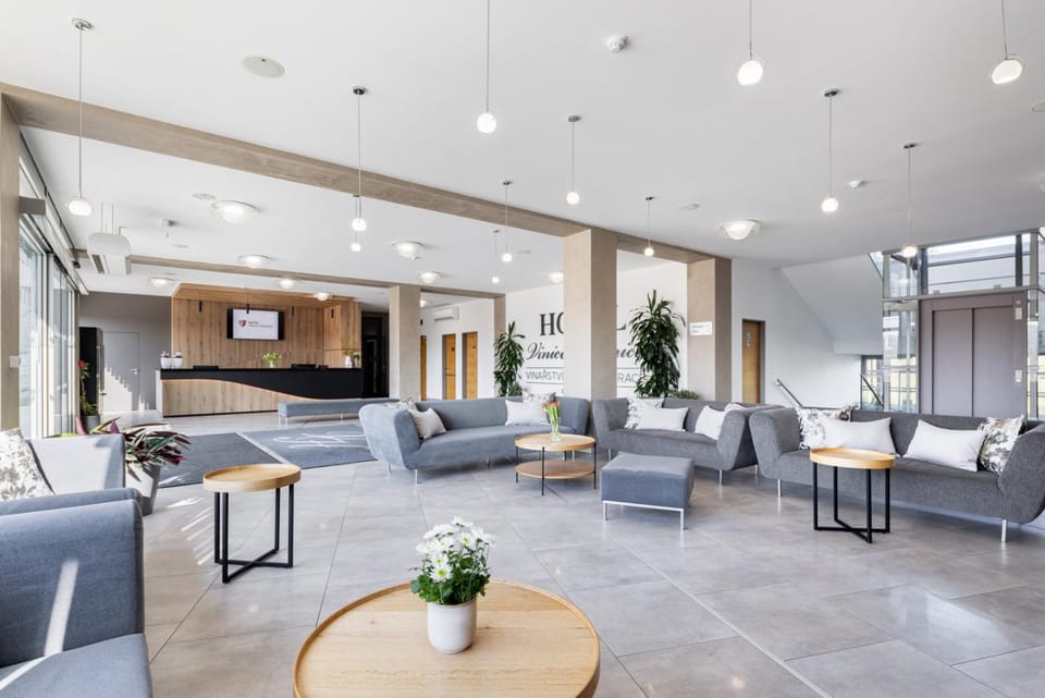 Hotel Vinice Hnanice Hotel in South Moravian Region