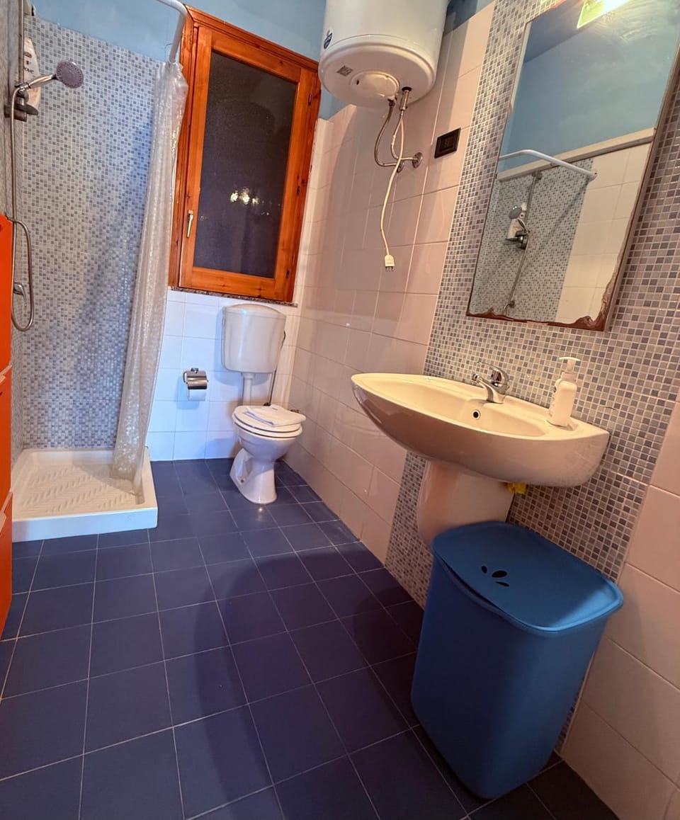 Shower, Toilet, Bathroom, bidet