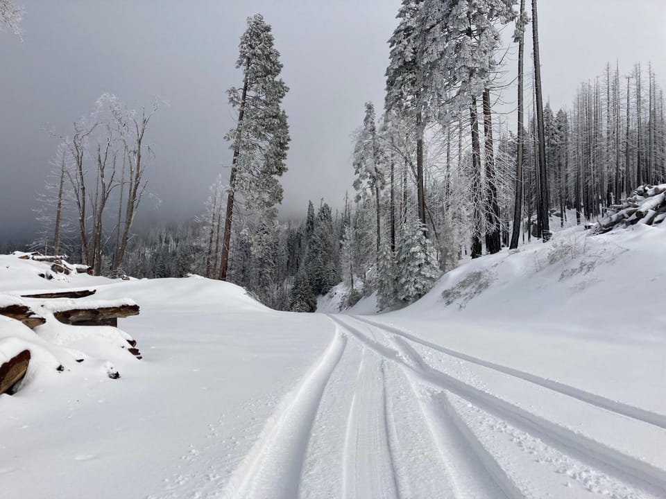 Glamping property Campground/ 
RV Resort in Sierra Nevada