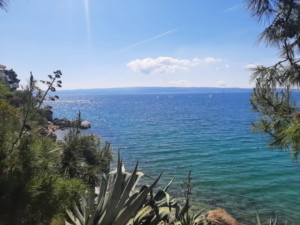 Sea view