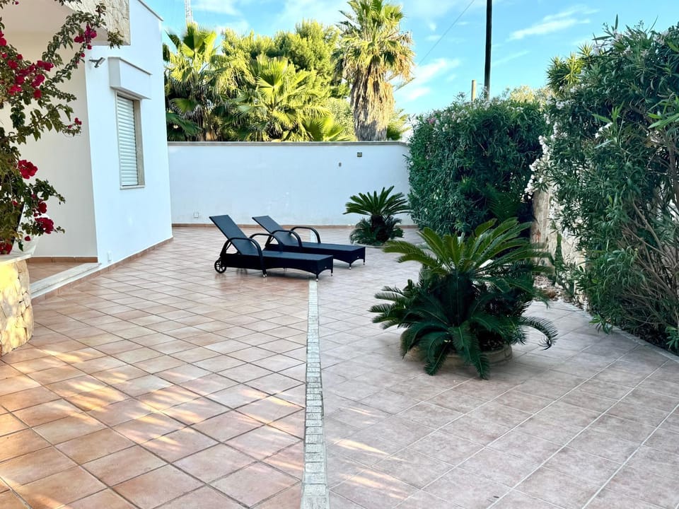 Patio, sunbed