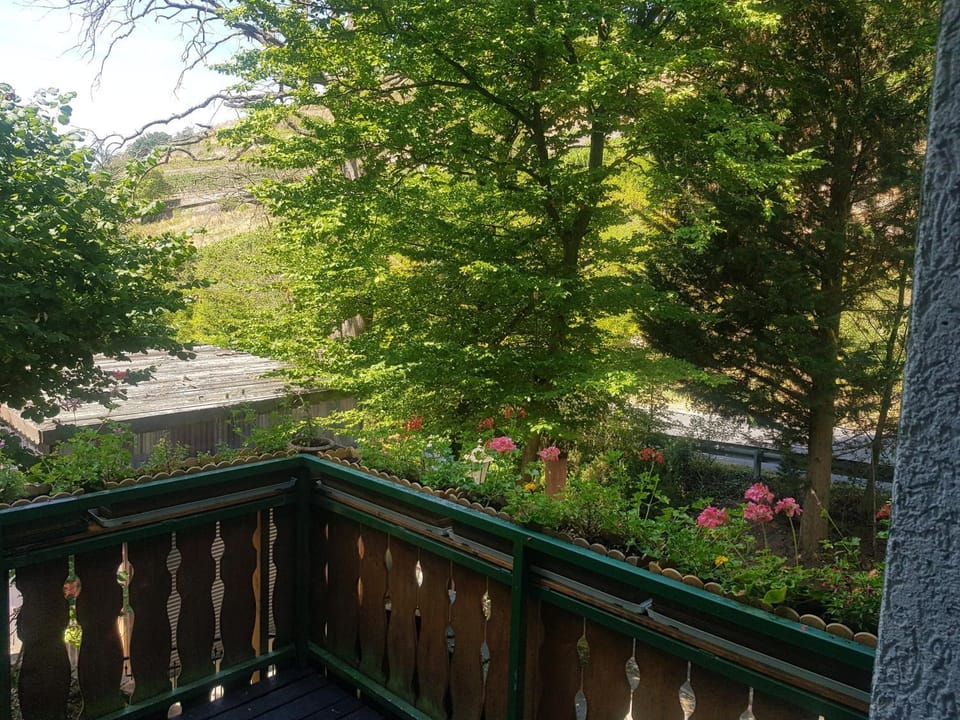 Ferienwohnung Apartment in Mainz-Bingen