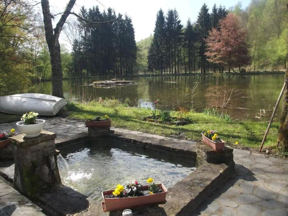 Lake view