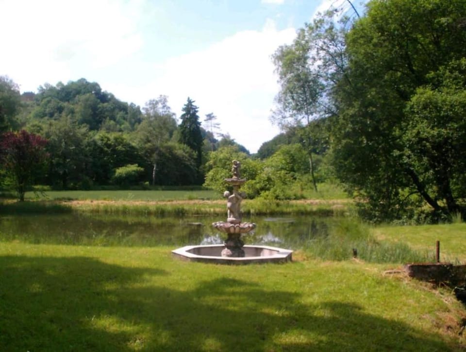 Natural landscape, Garden, Garden view, Lake view