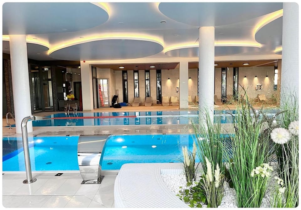 Swimming pool, sunbed