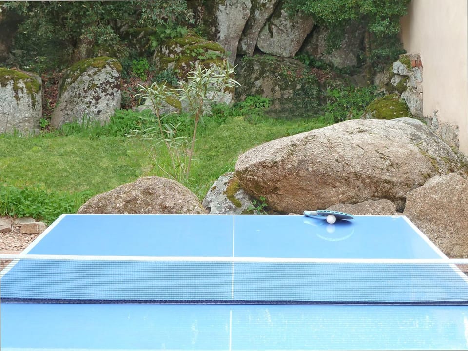 Table tennis
