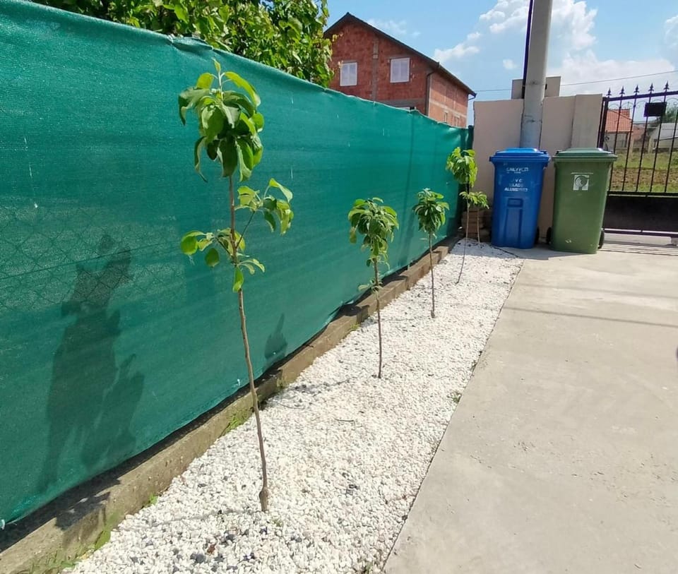 Day, Garden, Balcony/Terrace