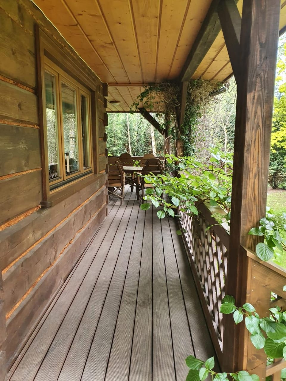 Patio, Balcony/Terrace, Balcony/Terrace