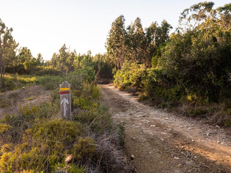 Spring, Day, Natural landscape, Activities, Activities, Street view, Location