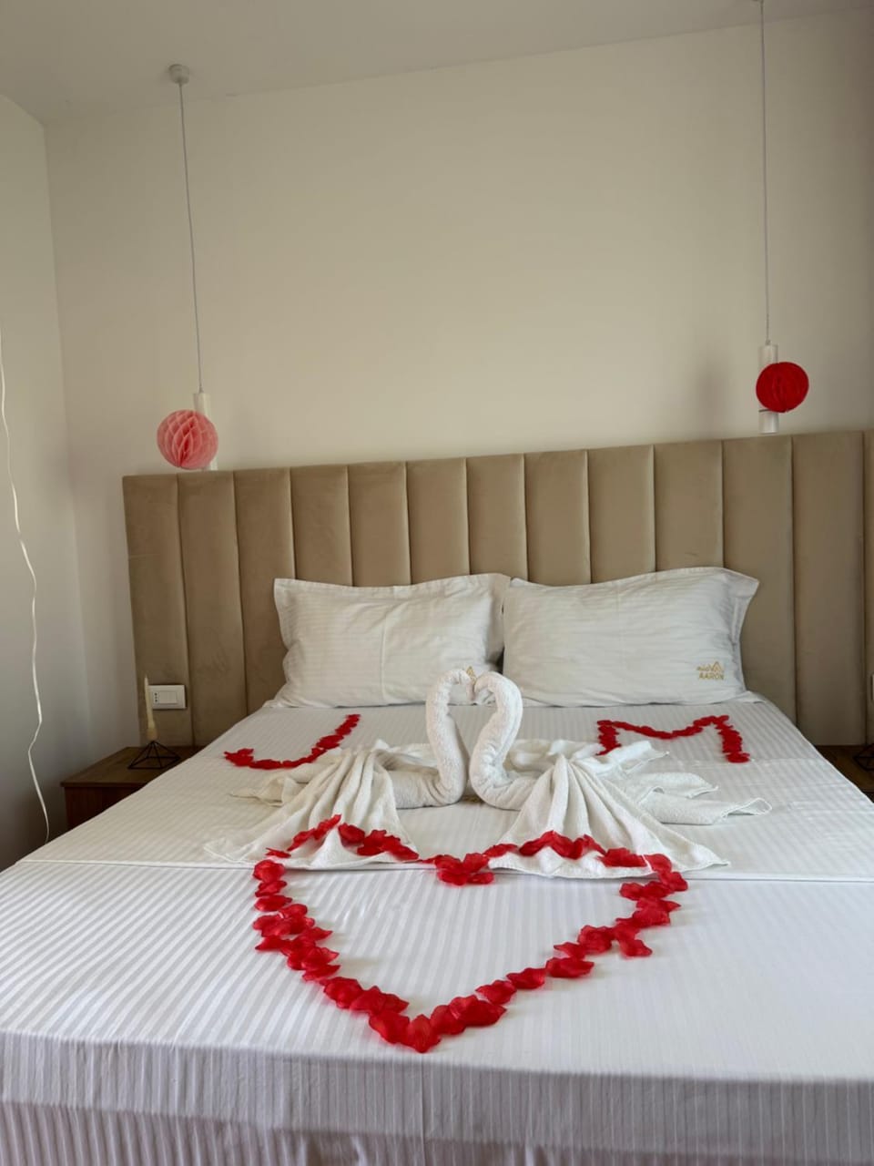 Hotel Vila AARON Hotel in Tirana County, Albania
