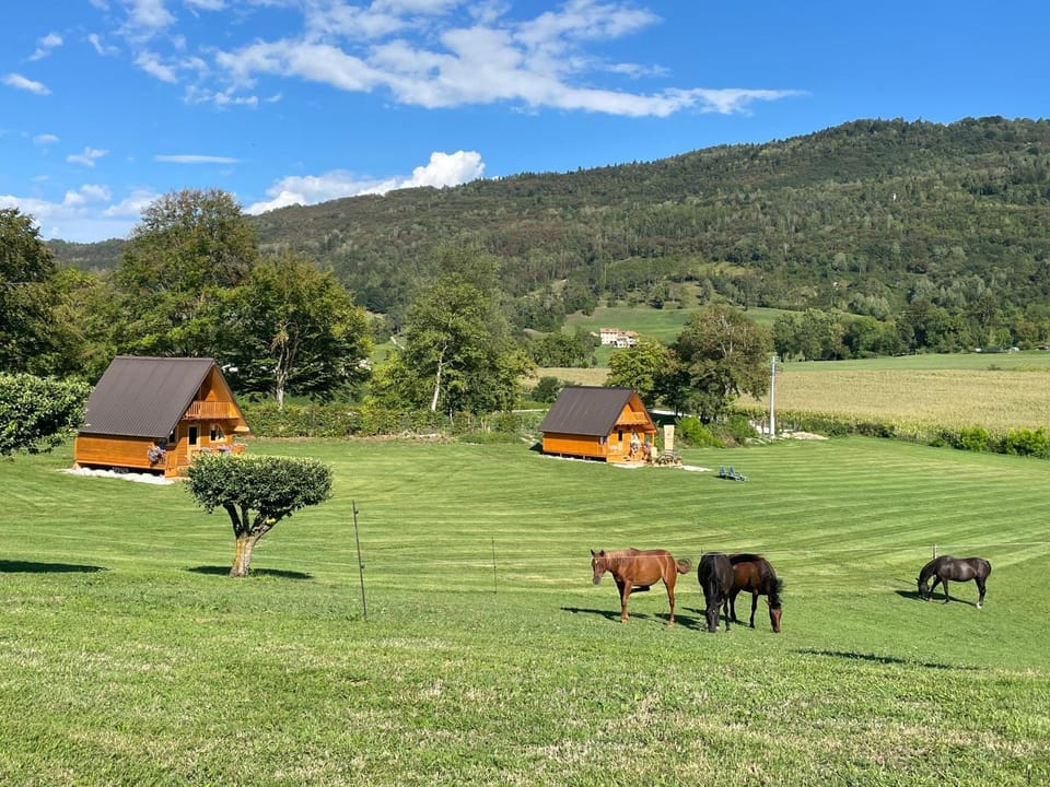 Day, Animals, Mountain view