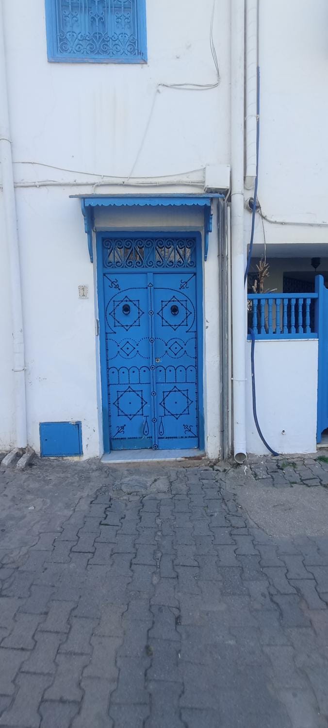 Jolie Maison au centre de Sidi Bou Said Apartment in Tunis Governorate, Tunisia