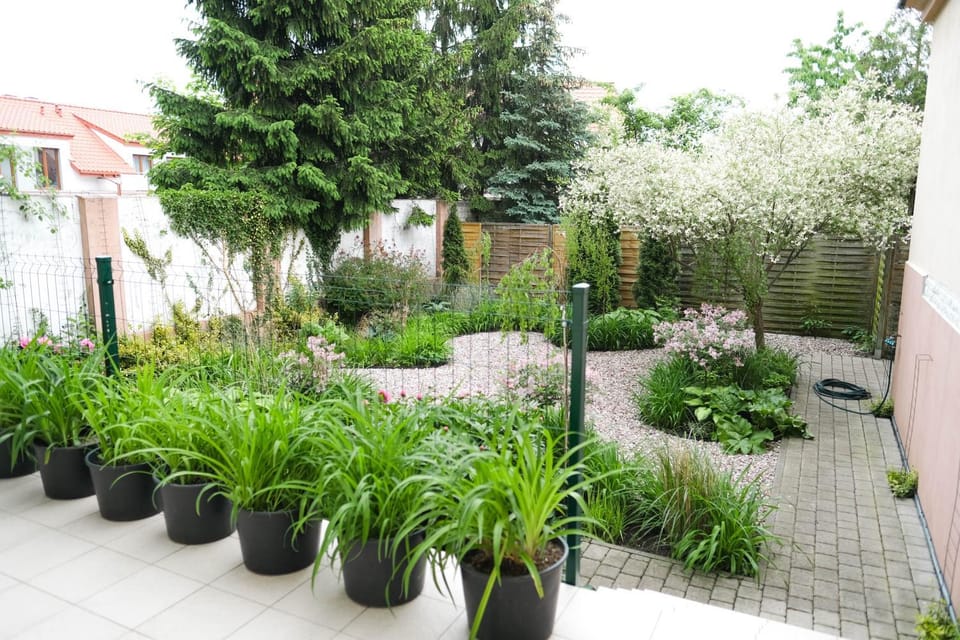 Apartamenty Mrągowo Warszawska Cudo Studio Apartment in Poland