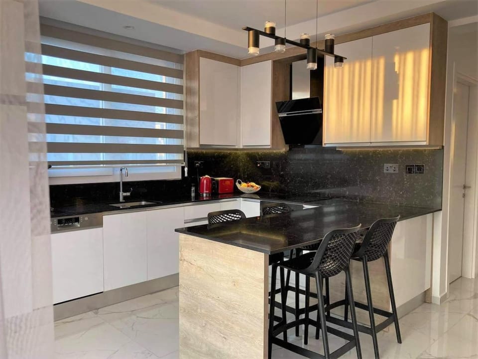 Kitchen or kitchenette, Dining area, dishwasher