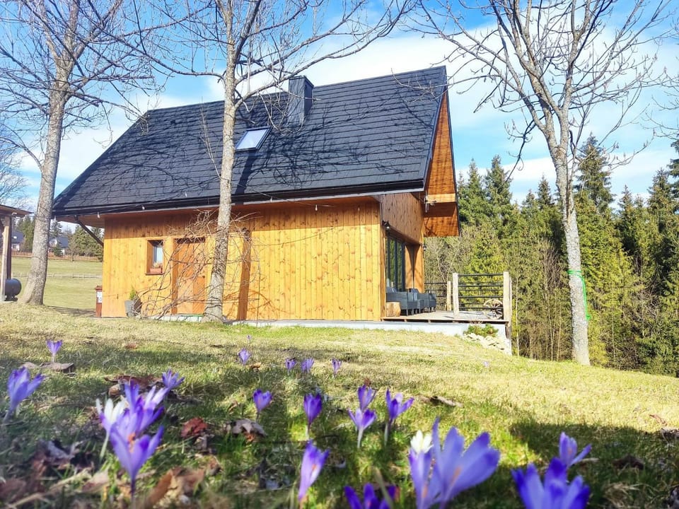 Property building, Spring, Day, Garden, Garden, Garden view