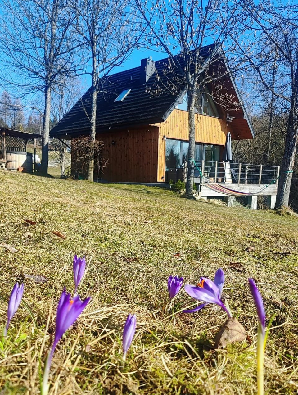 Property building, Spring, Day, Natural landscape, Garden, Garden view
