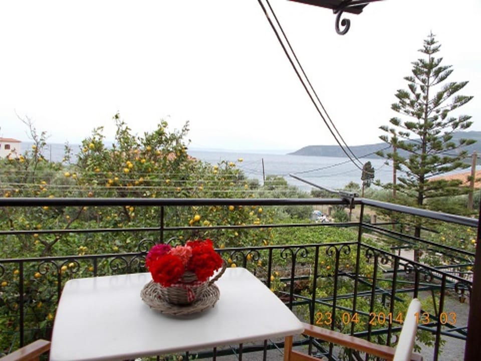 View (from property/room)