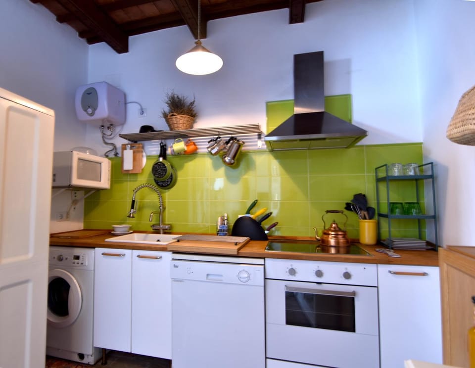 Kitchen or kitchenette, dishwasher, minibar, oven, stove, toaster, washing machine
