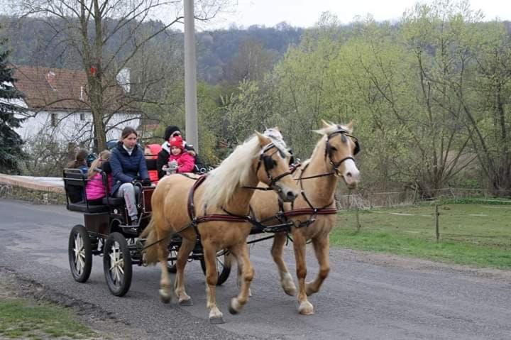 Ubytování v karavanu Campground/ 
RV Resort in Saxony
