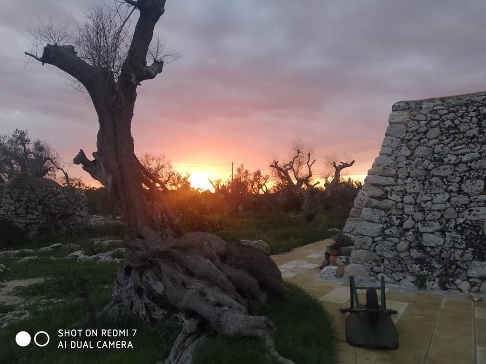 La Nicchia-Trullo Apartment in Apulia