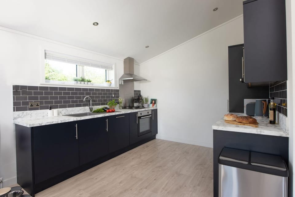 Kitchen or kitchenette, dishwasher, oven, stove, toaster, kitchen
