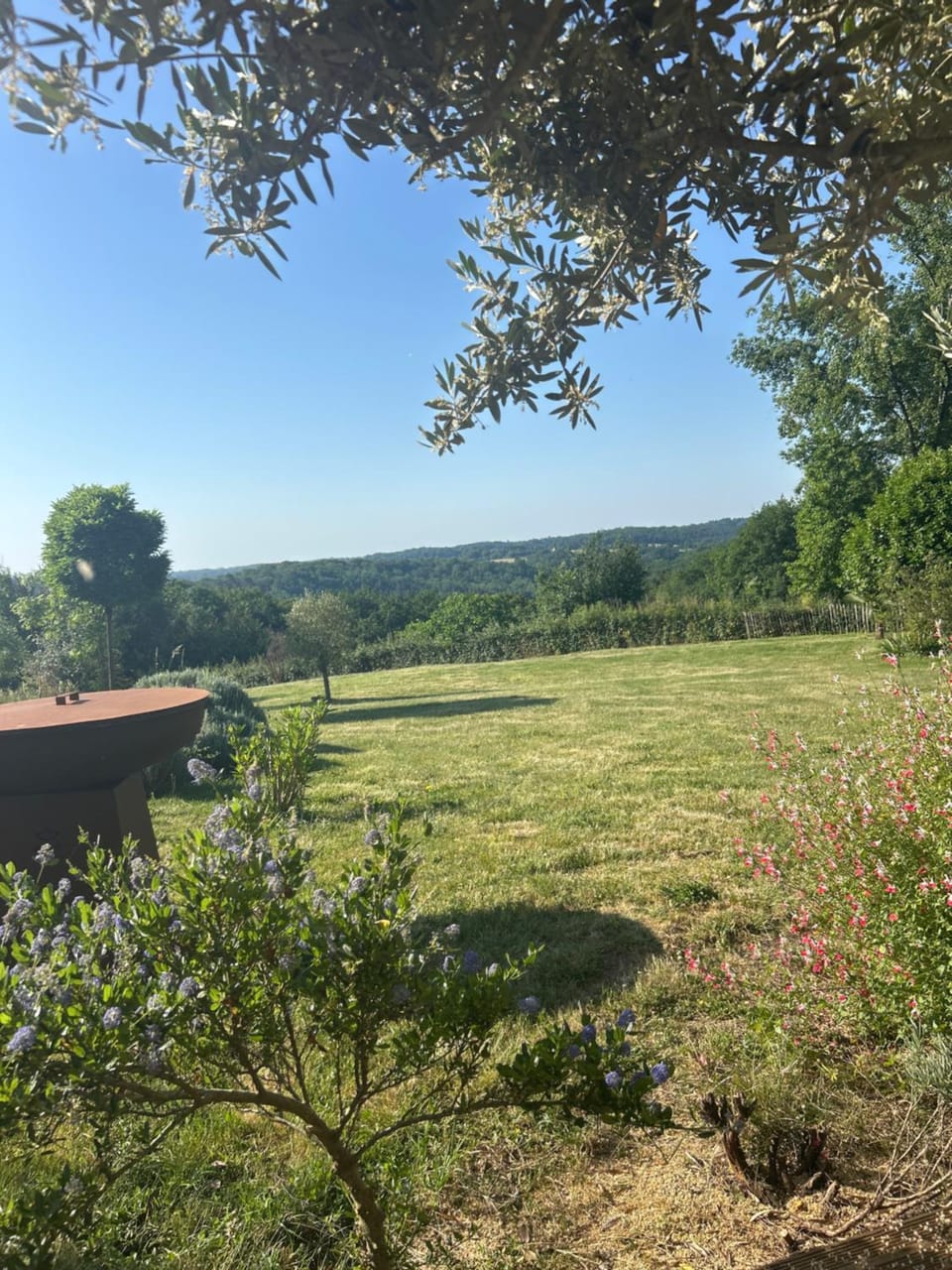 Garden view