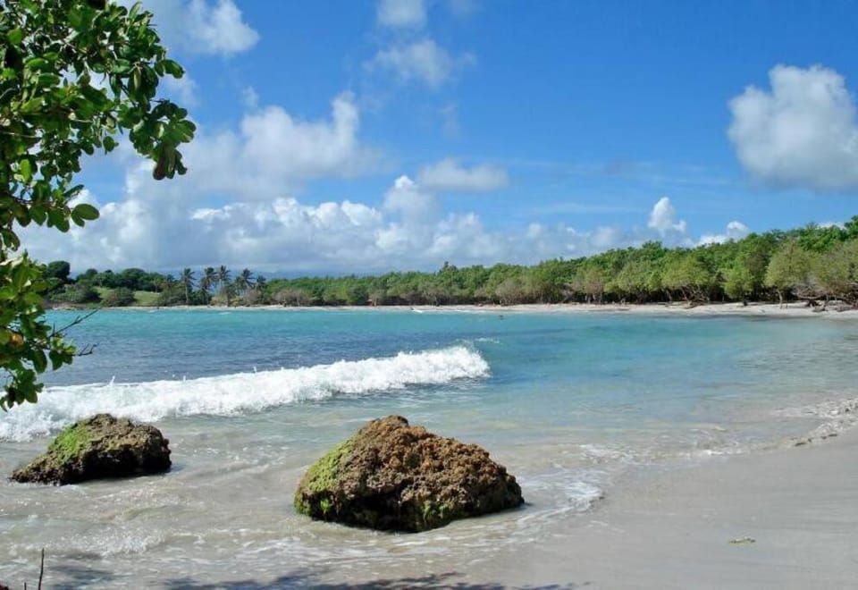 Natural landscape, Beach