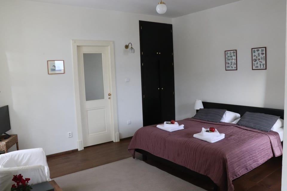 Penzion Vila Elektra Bed and Breakfast in South Bohemian Region