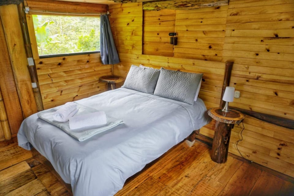 Bed