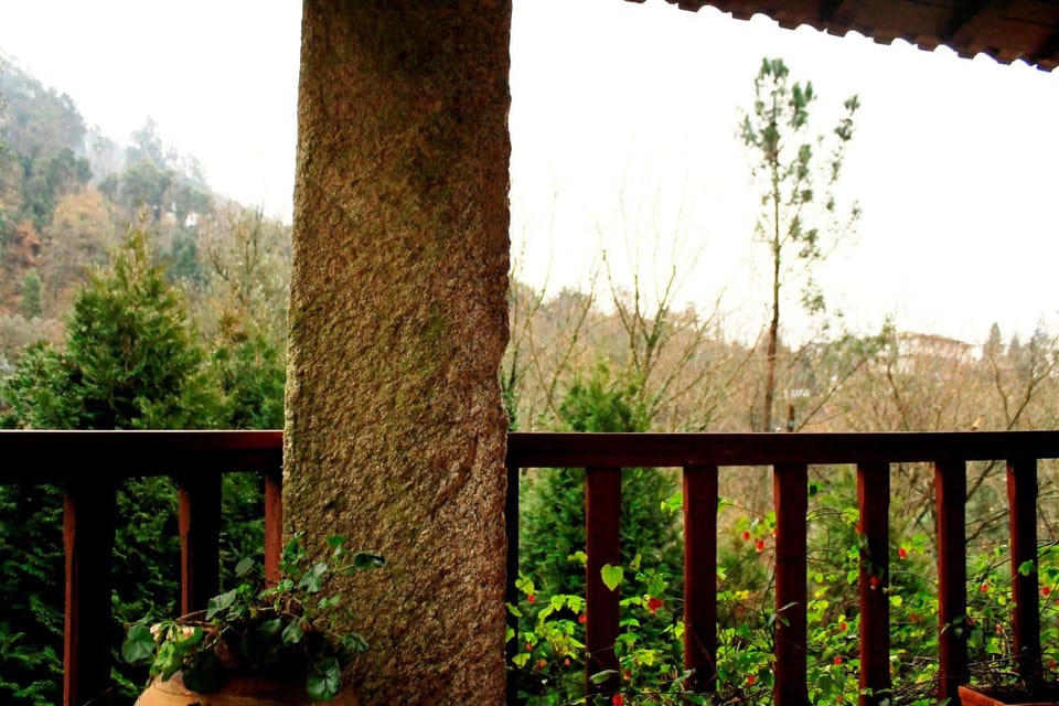 View (from property/room)