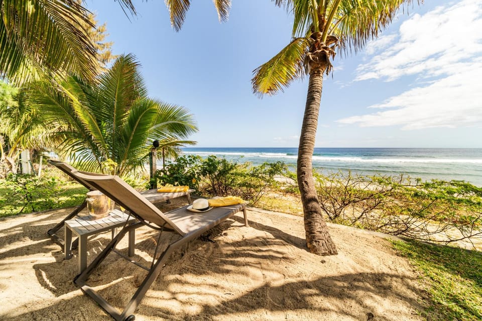 Garden, Sea view, sunbed