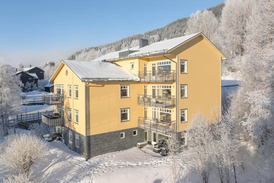 Property building, Winter