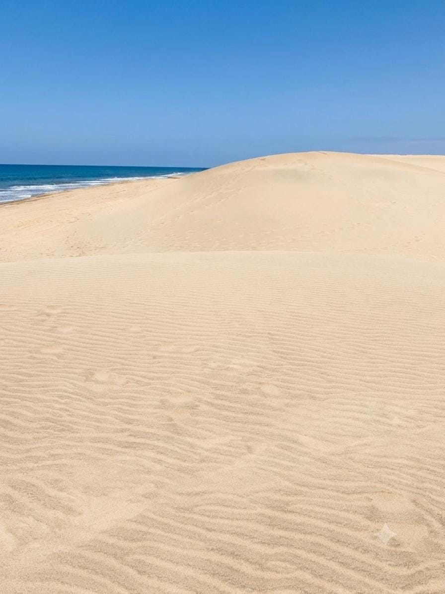 Lovely Apartament Taidia Apartment in Maspalomas