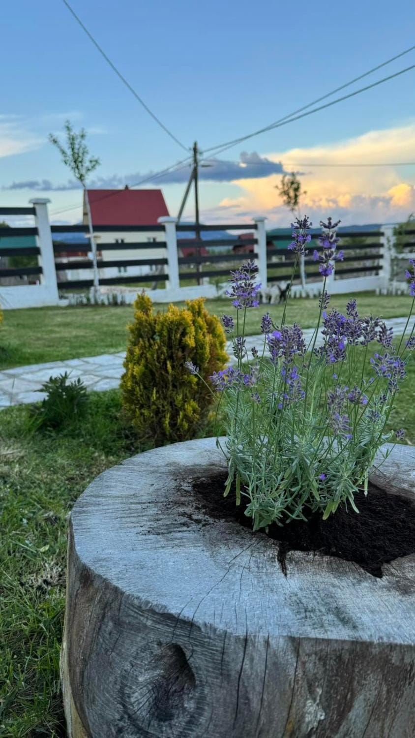 White Home House in Montenegro