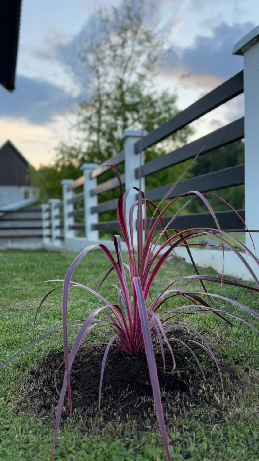 White Home House in Montenegro