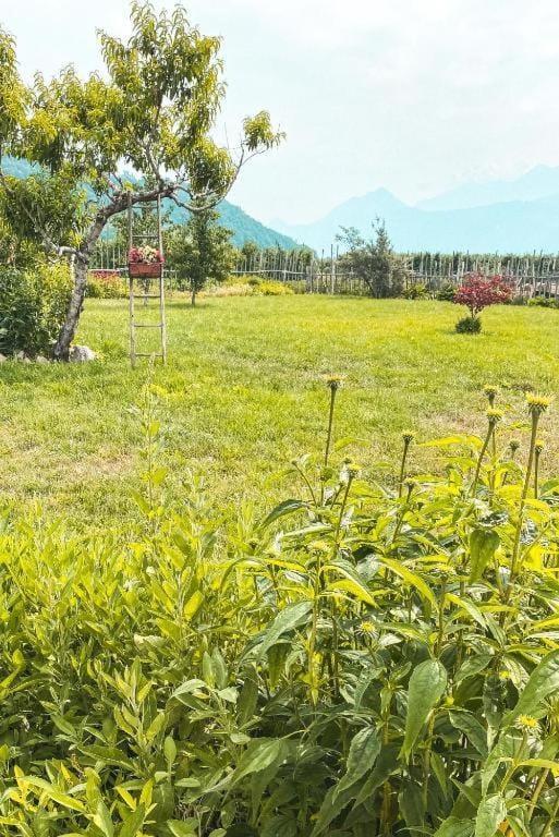 AGRITURISMO DAL PEROTIN Farm Stay in Trentino-South Tyrol