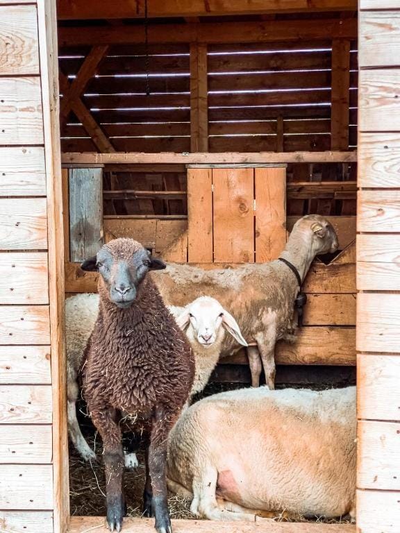 AGRITURISMO DAL PEROTIN Farm Stay in Trentino-South Tyrol