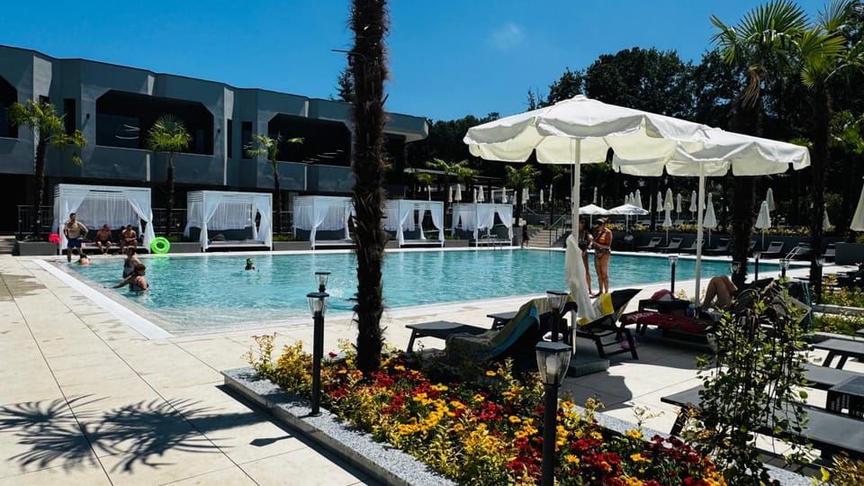 Swimming pool, sunbed