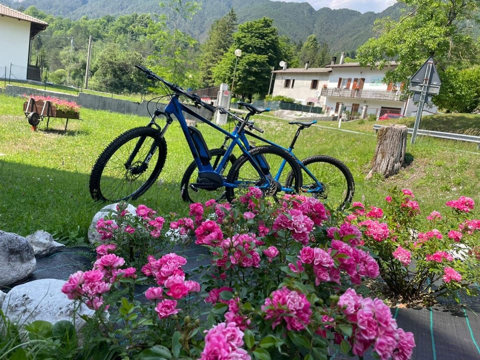 Activities, Garden, Cycling, Cycling