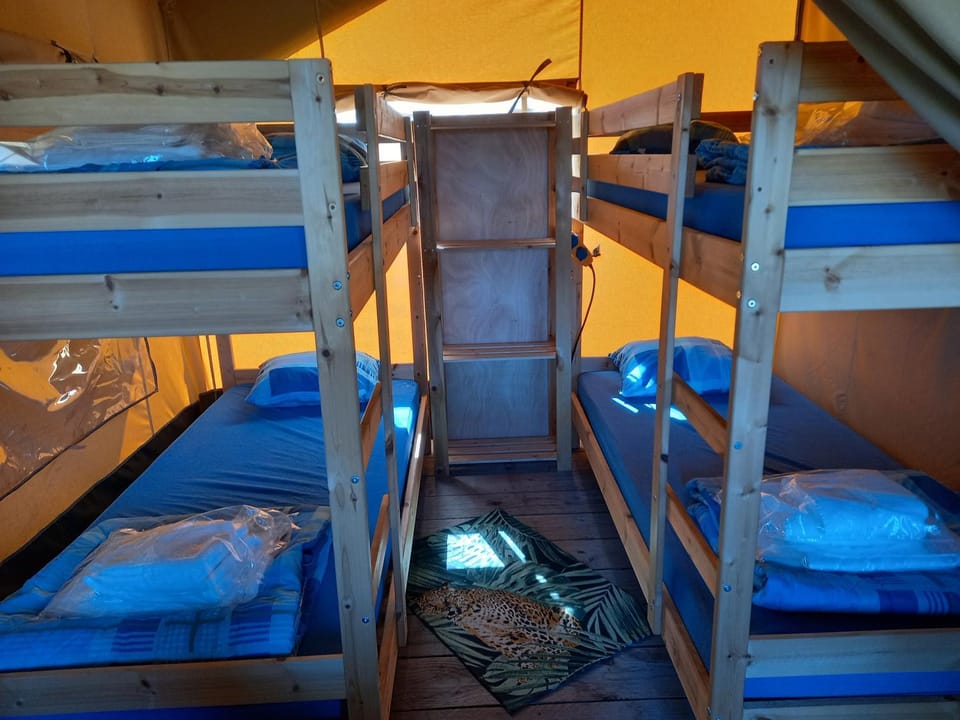 bunk bed