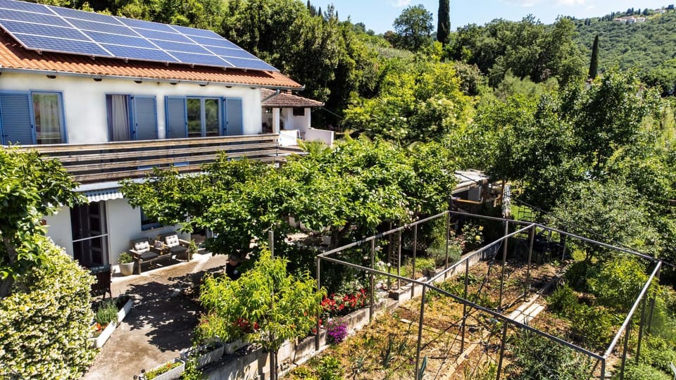 Property building, Garden