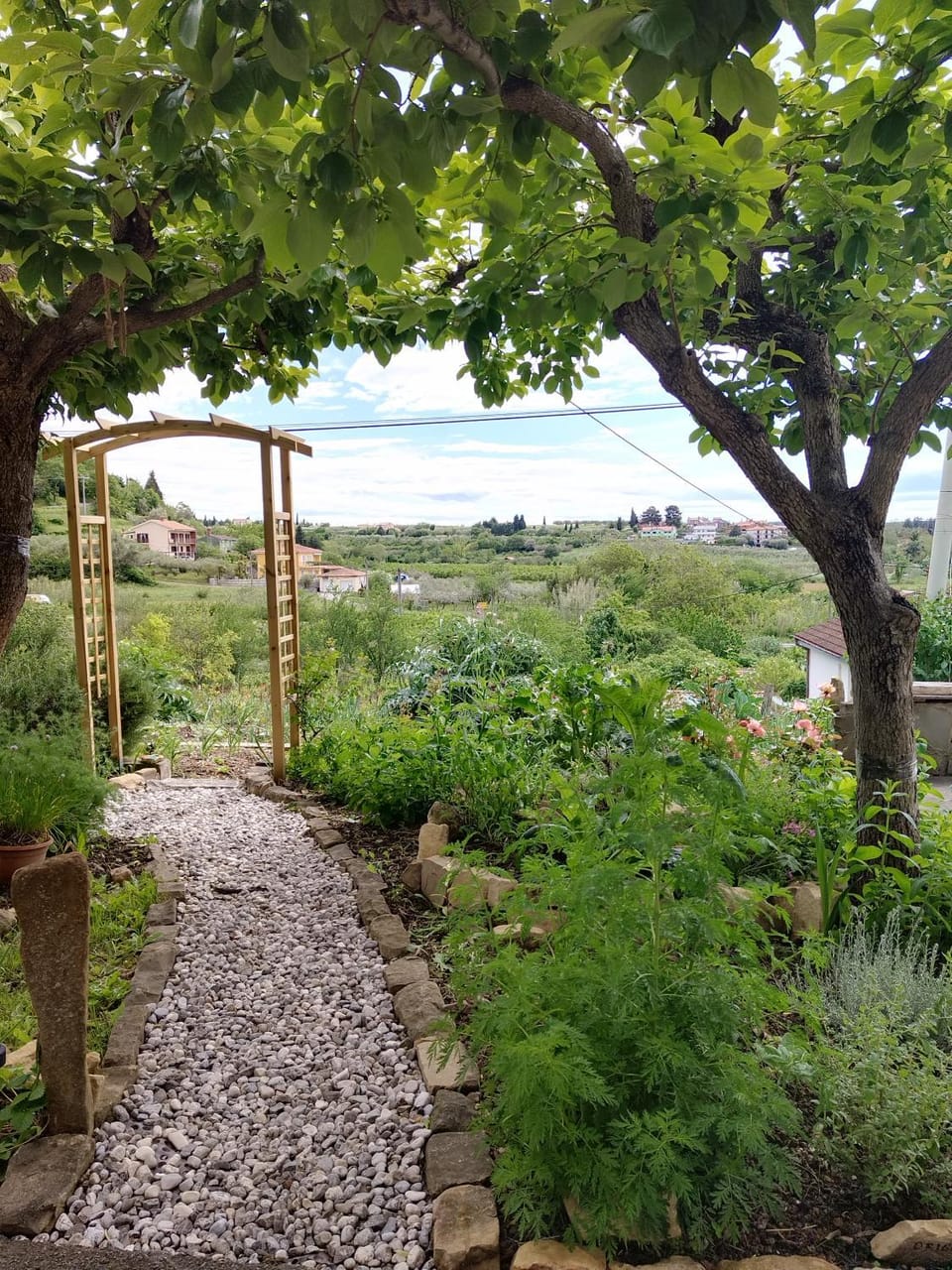 Day, Natural landscape, Garden, Garden, Garden view