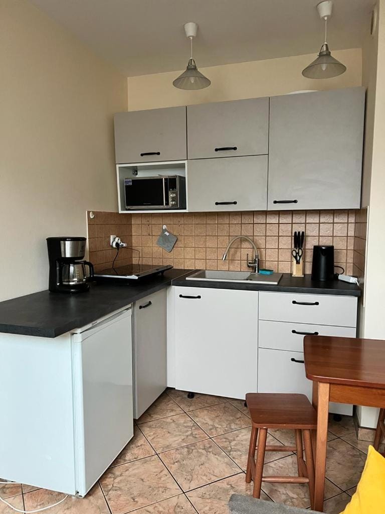 Apartament przy Szlakach Apartment in Lower Silesian Voivodeship
