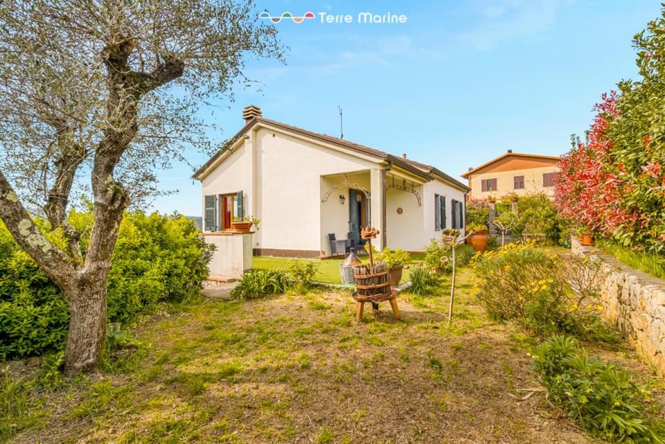 Villa in vino veritas, Terre Marine Bed and Breakfast in Province of Massa and Carrara