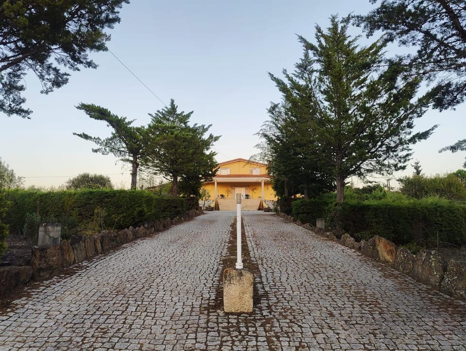 Natural landscape, Garden, Landmark view