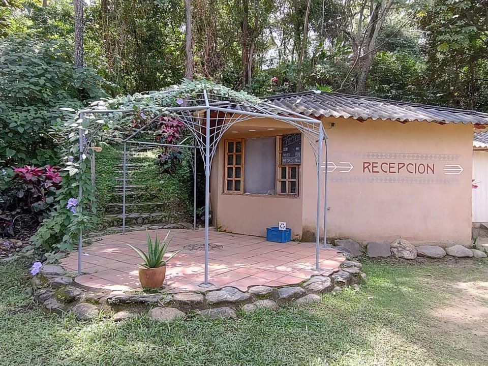 Garden, Garden view