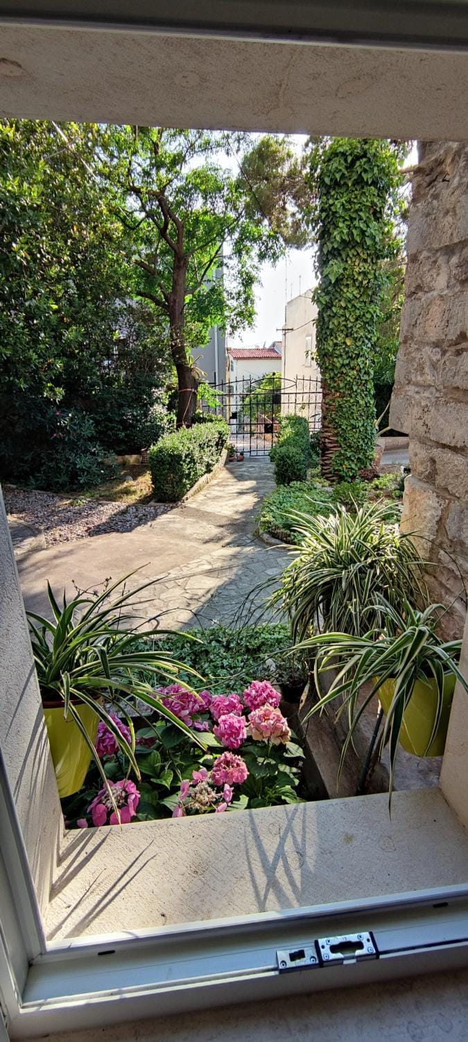 City view, Garden view