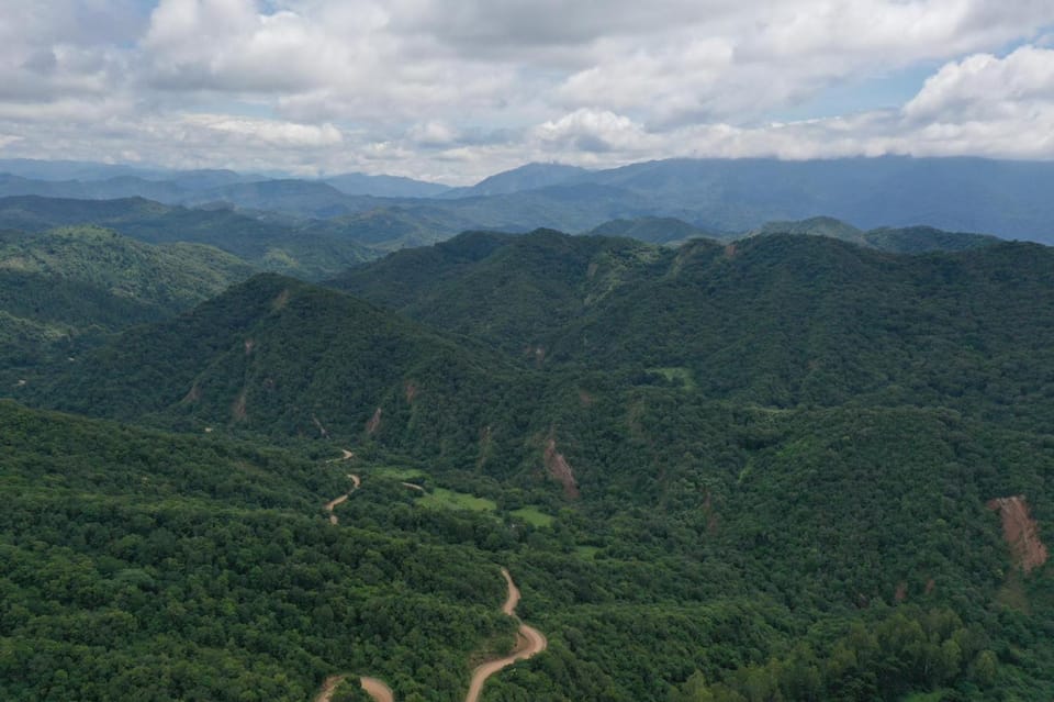 Natural landscape